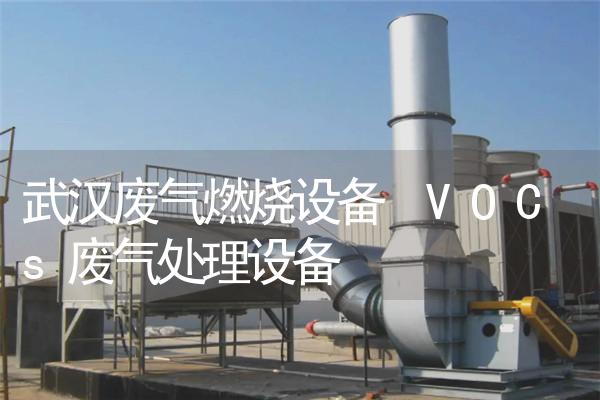 武汉废气燃烧设备 VOCs废气处理设备